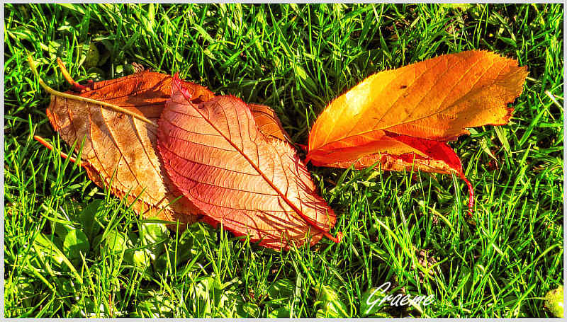 o10/31/938931/1/166474108.pLKOrBdk.IMG_0038__1__2_tonemappedsx720.jpg