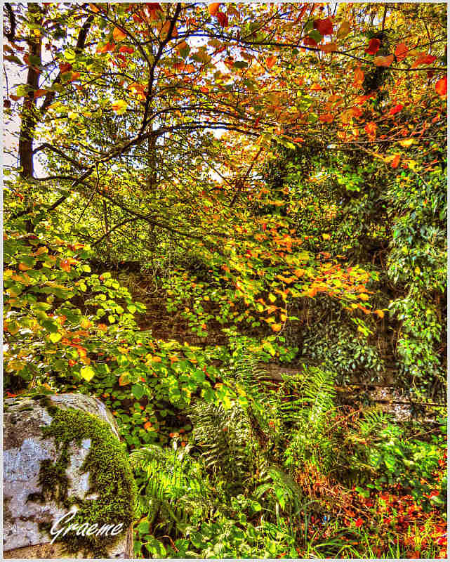 o10/31/938931/1/166559985.niURyRH6.IMG_0085__1__2_tonemappedsx720.jpg