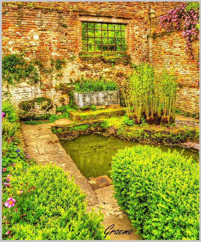 Pond and Window