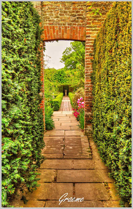 The Rose Garden