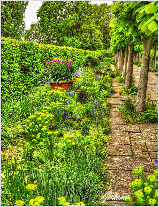 The Lime Walk