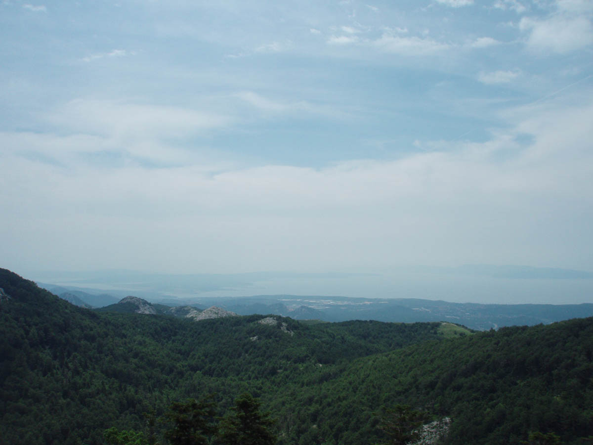 P6154990.JPG