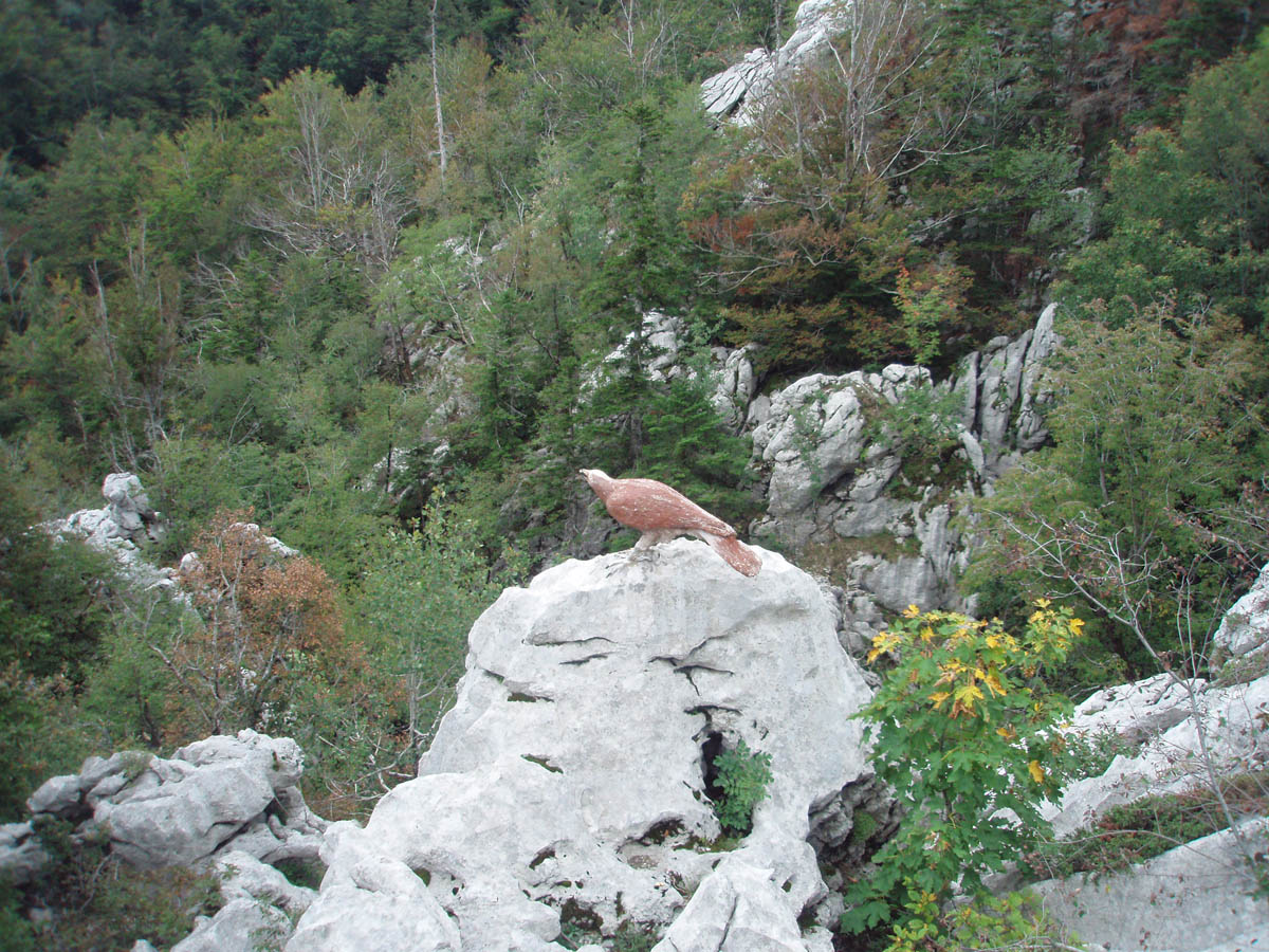 P9227172.JPG