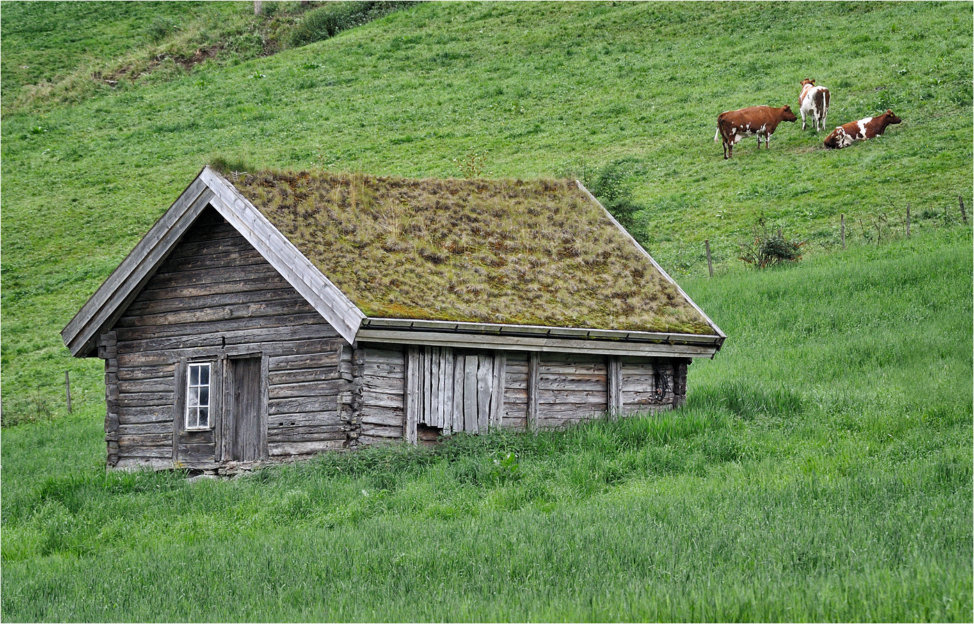 Traditional hut. Olden, Norway.