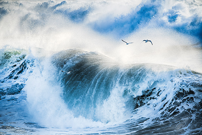Wild Atlantic Waves