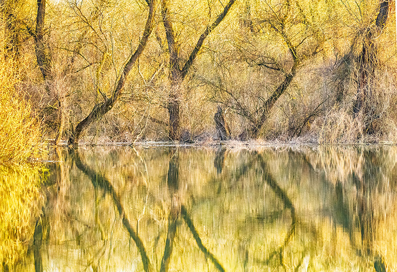 Springtime in the Danube Delta