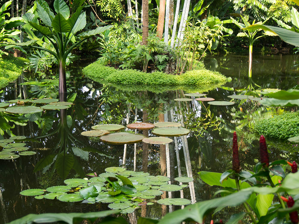 Botanical  Park in Singapore 