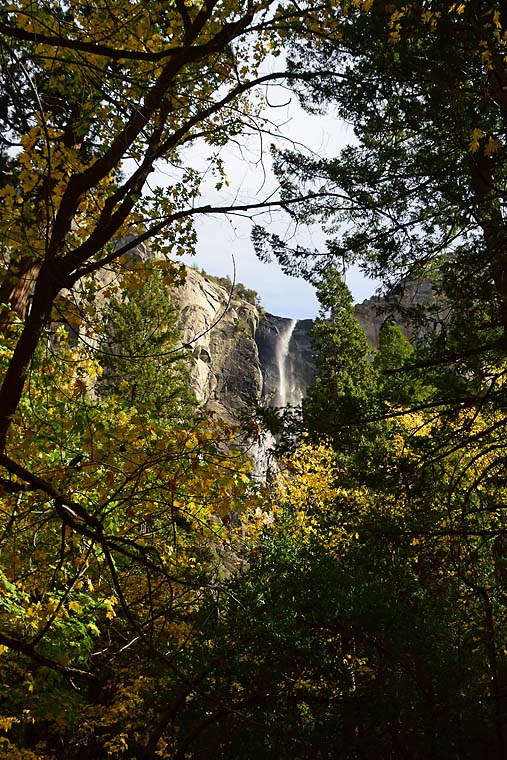 Bridalveil Fall Midst the Trees