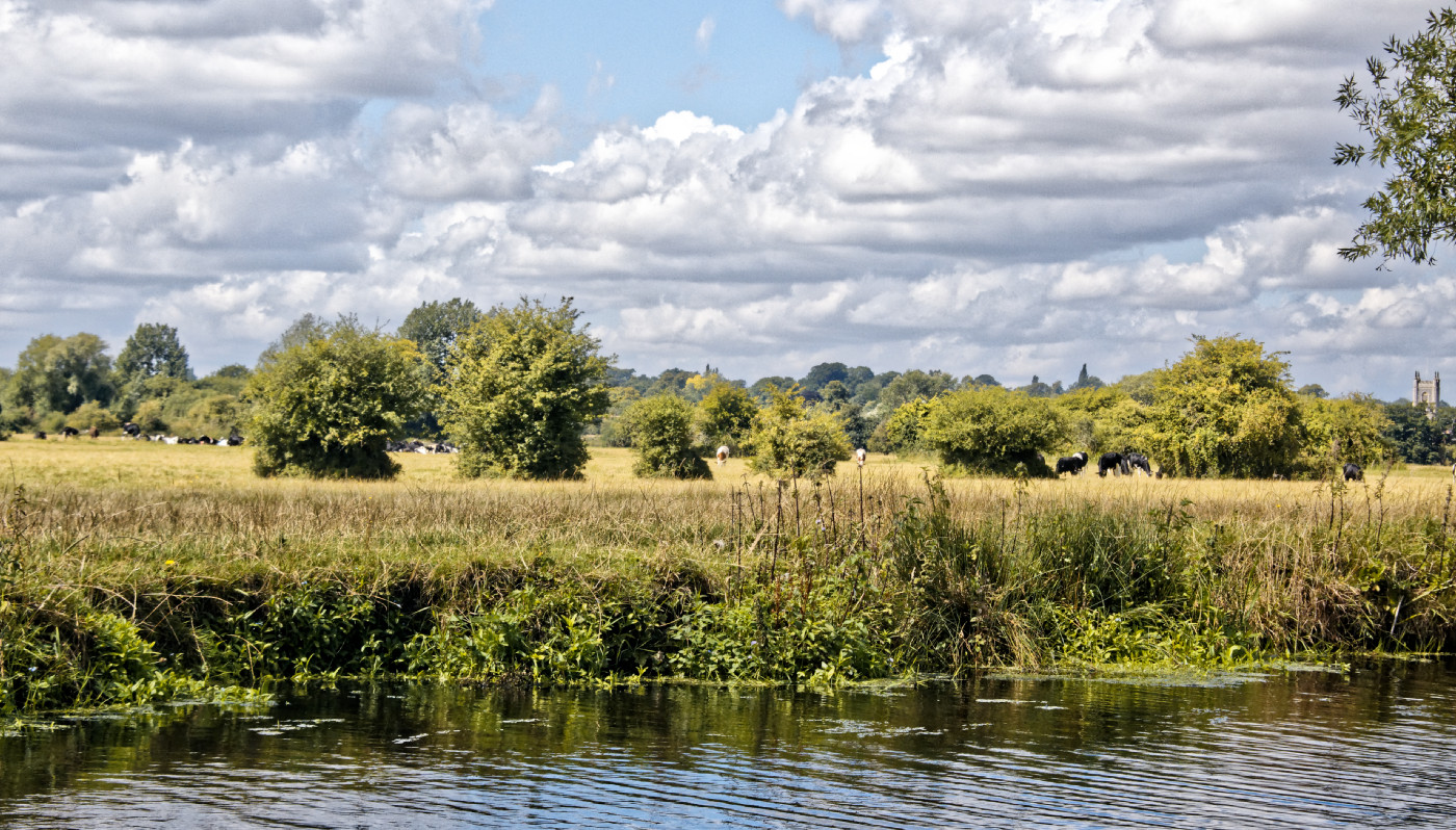 Landscape -2 