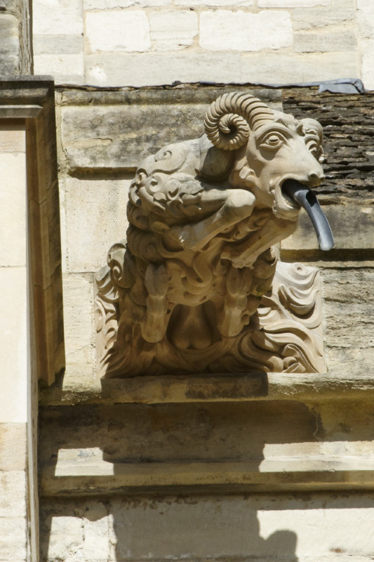 goaty gargoyle