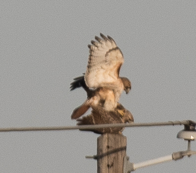 RCD_2868.jpg