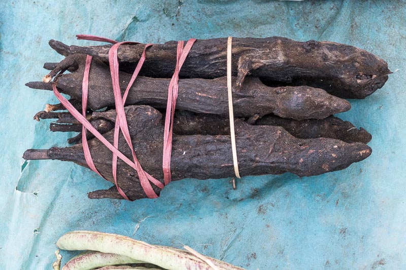 Smoked Rats for Dinner Tonight?