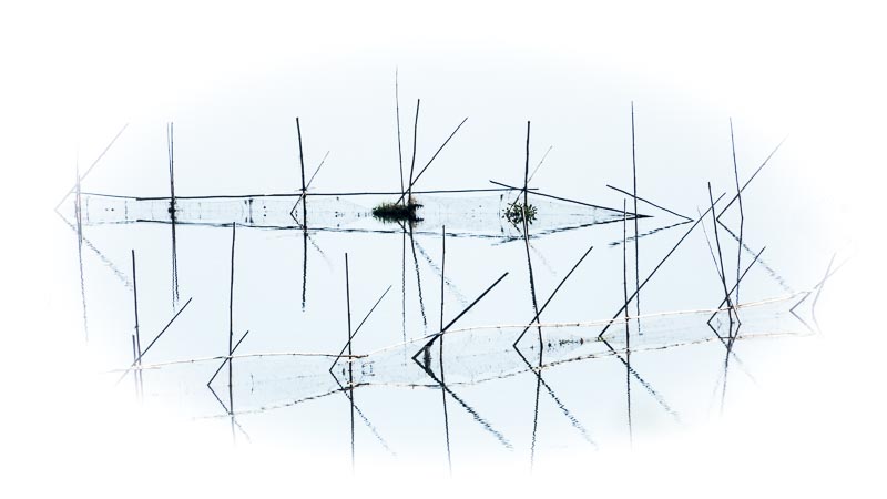 Fishing Nets