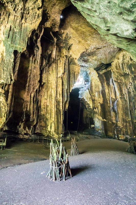 Gomantong Caves
