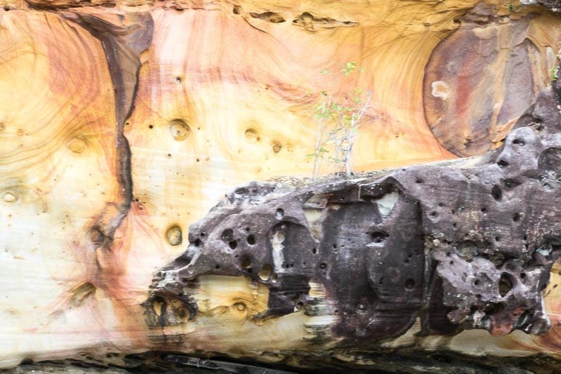 Sandstone Art