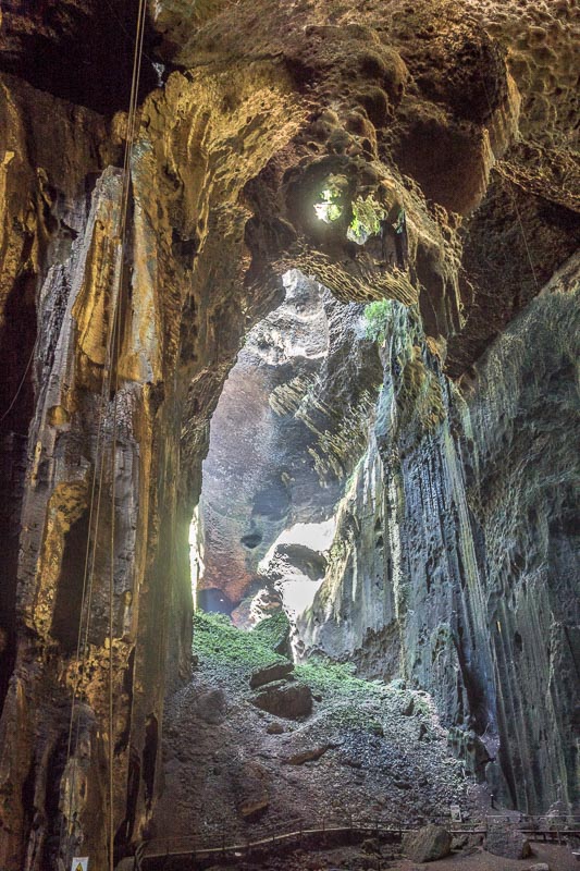 Gomantong Caves