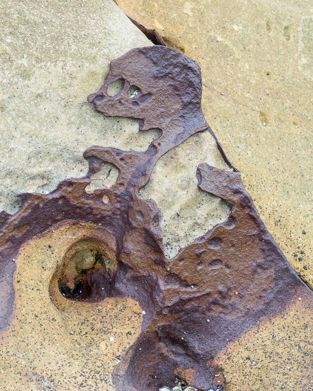 Lifelike Image in the Rock