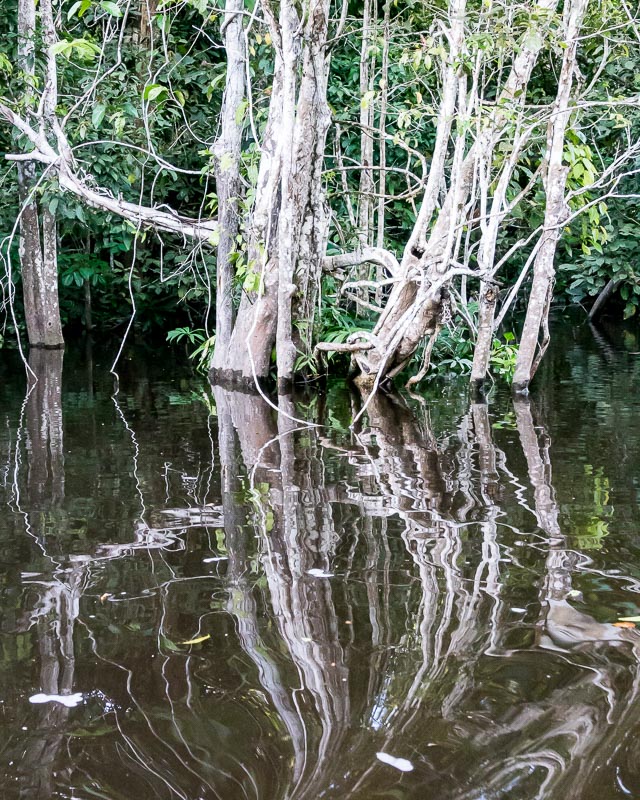 Reflections
