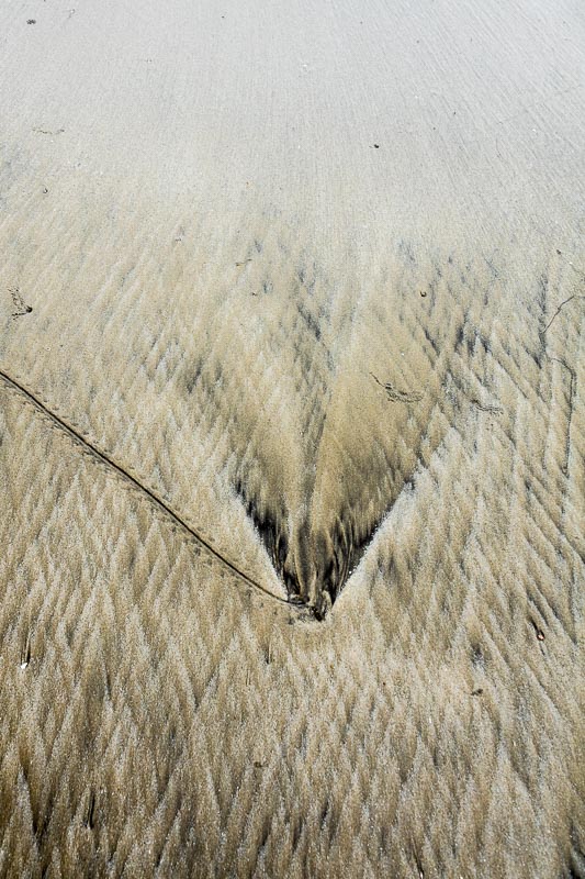 Image in the Sand