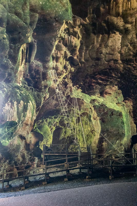 Gomantong Caves