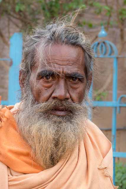 Devotee