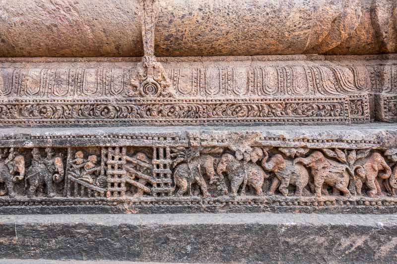Capturing Elephants