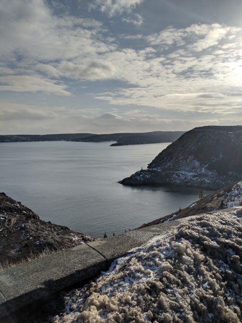 Newfoundland_4.jpg
