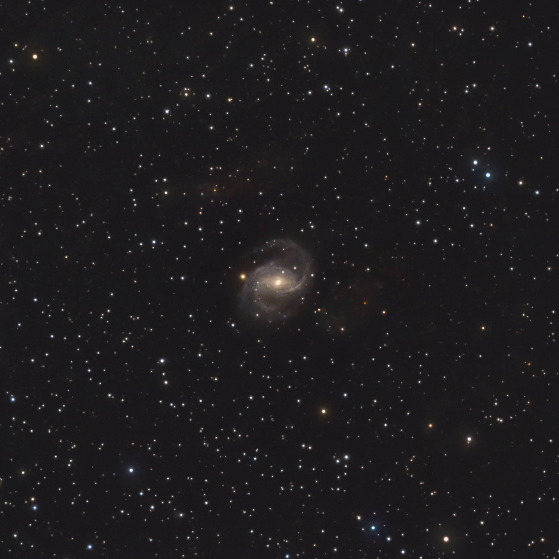 NGC 6951