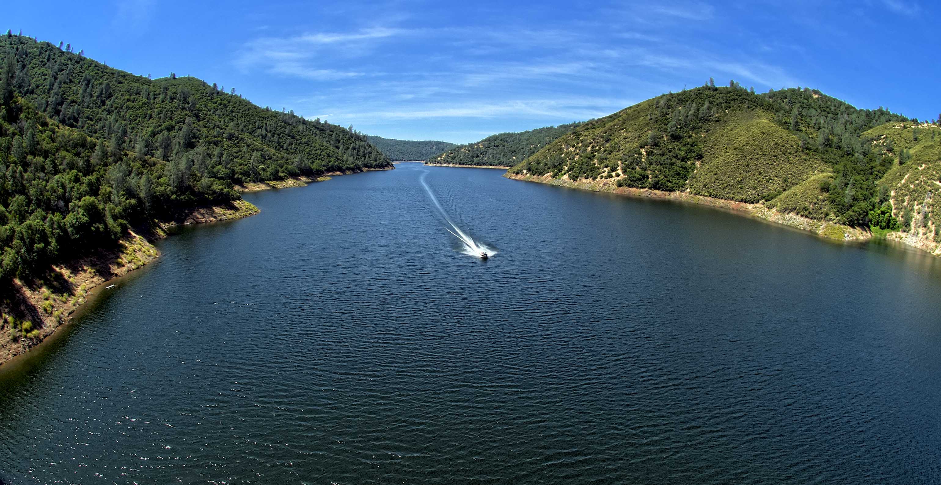 D4E_3346ParrotsferryBr1.jpg