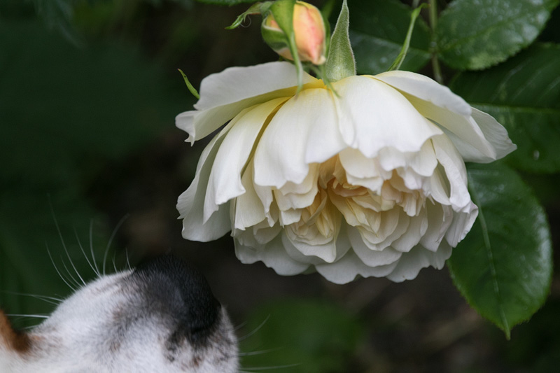 12th June 2018