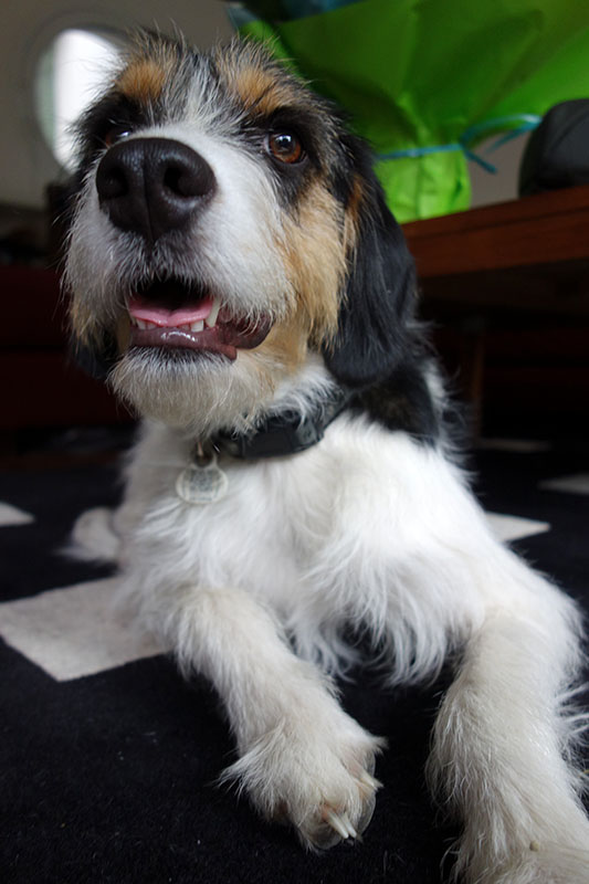 Lilou