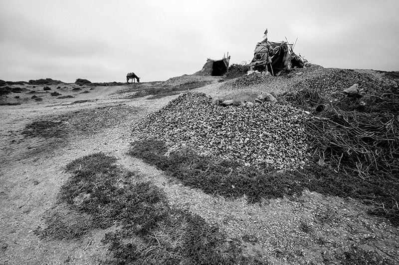 Pecheur de coquillage au Cap Rhir