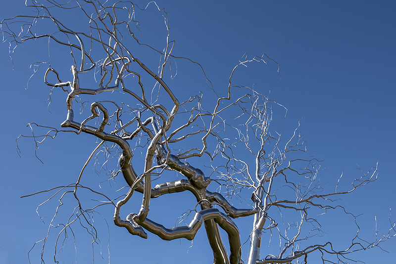 The silver tree
