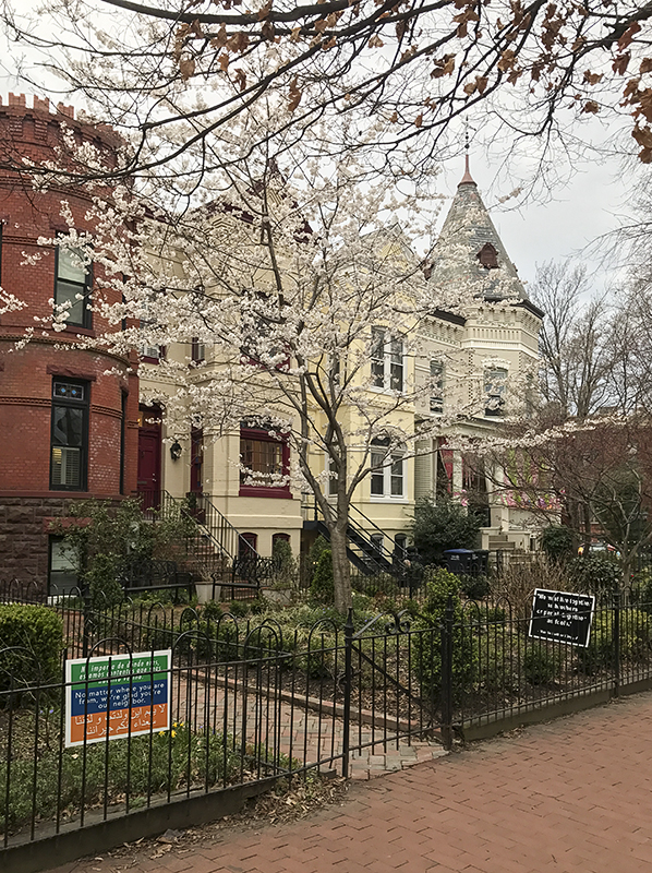 Finally, a real spring on Capitol Hill