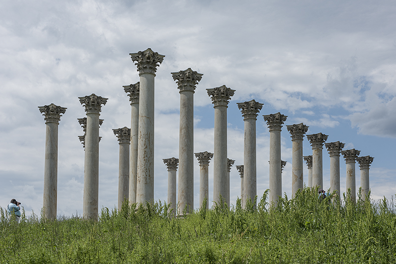 One last view: US Capitol Columns