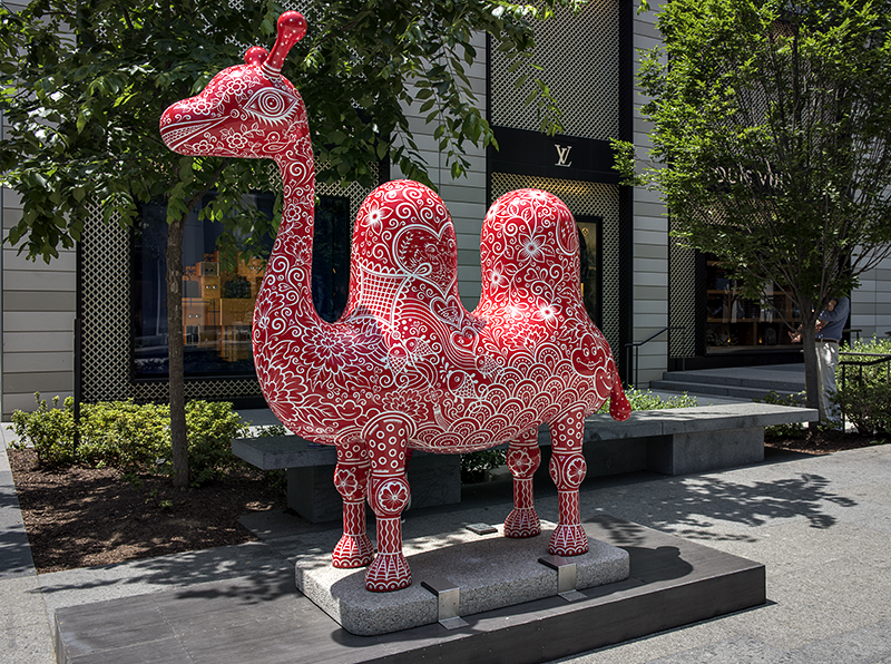 Bactrian Camel