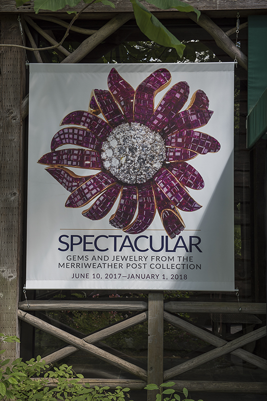 The elusive brooch revealed