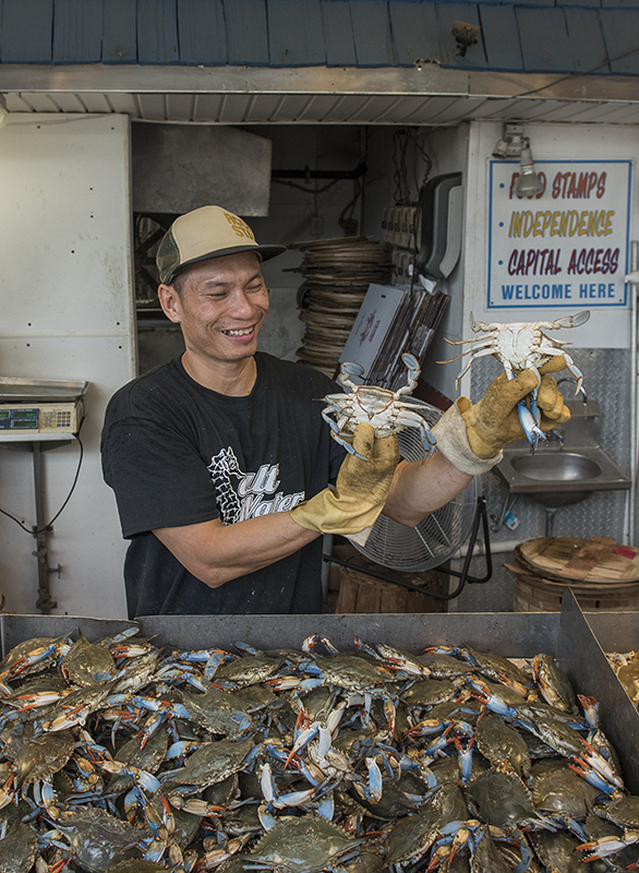 The happy fishmonger (2)