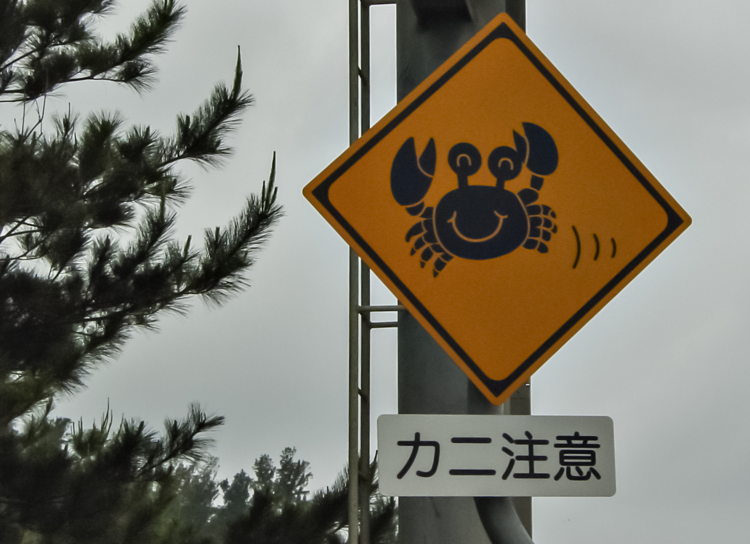 Crab crossing