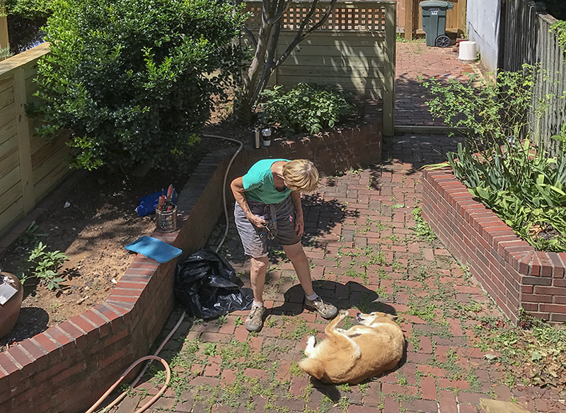 Sahraa greets the gardener