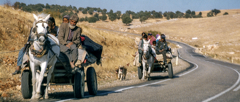 Family on the move