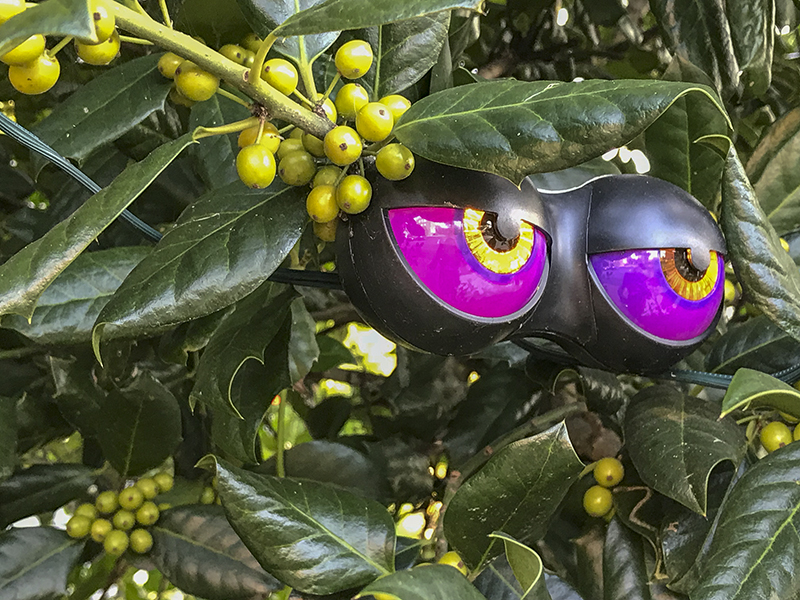 Heres looking at you