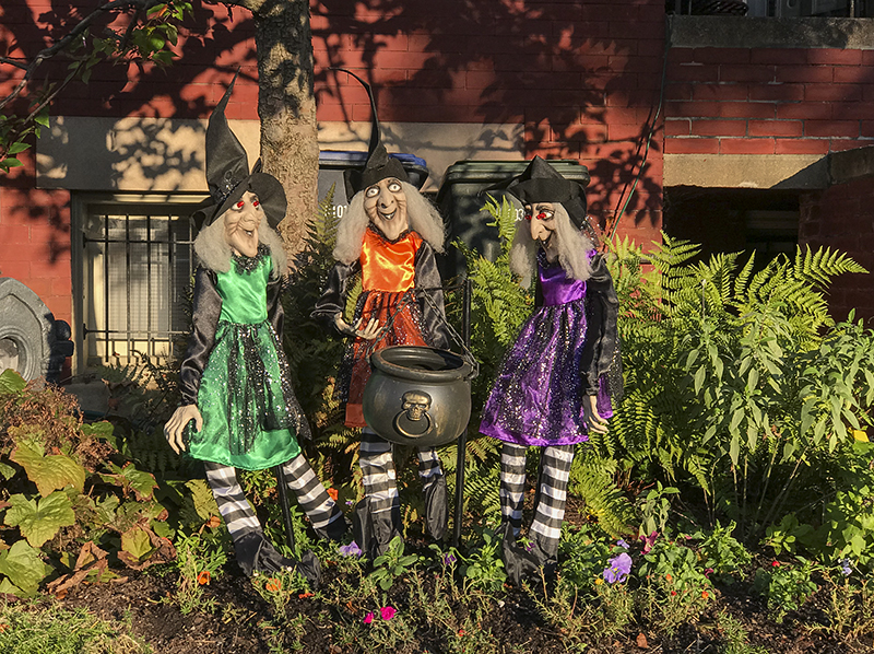 Witches brew