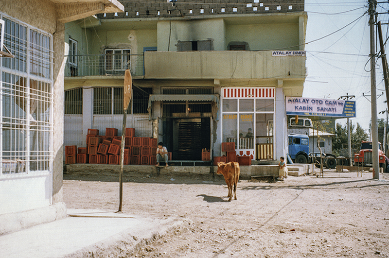 The dangerous streets of Silopi