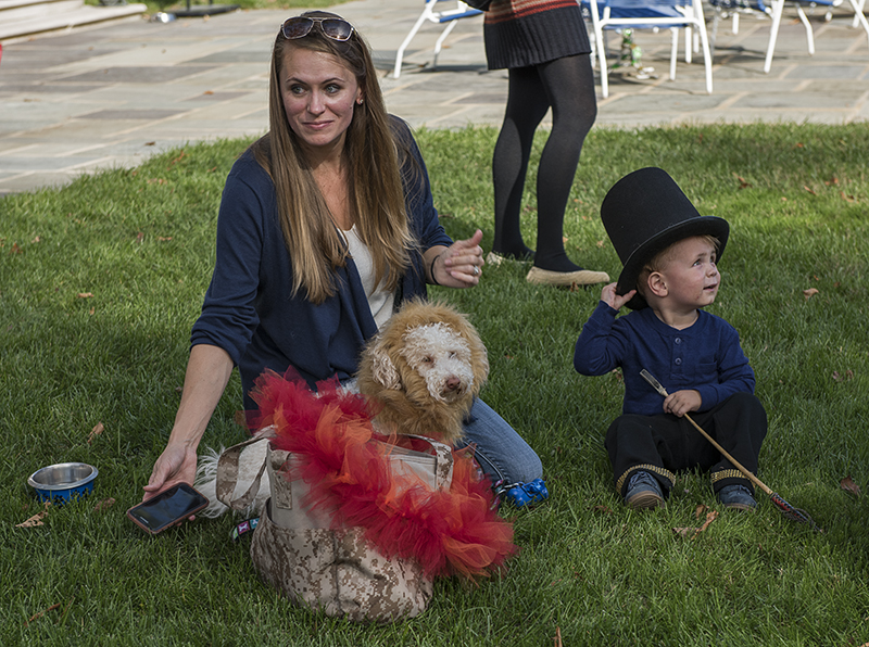 The lion tamer