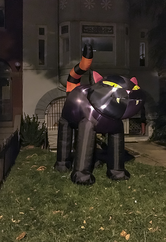 Cheshire Halloween cat