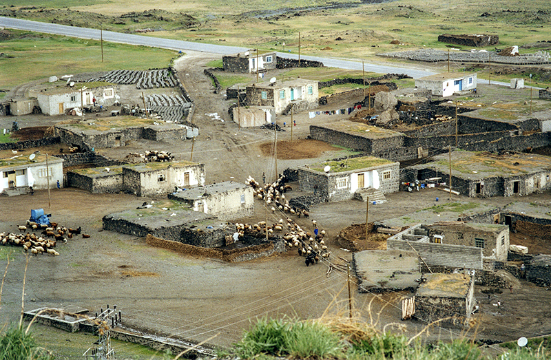 Sheep village