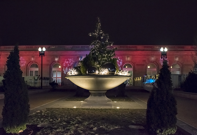 US Botanic Garden, again
