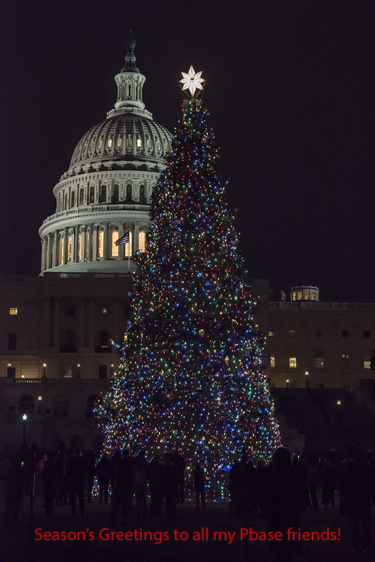 Happy Holidays!
