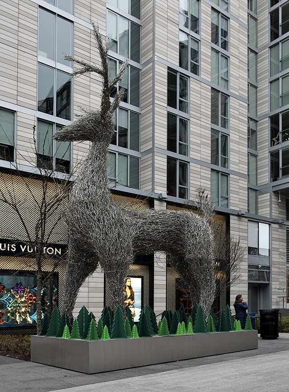 Urban reindeer